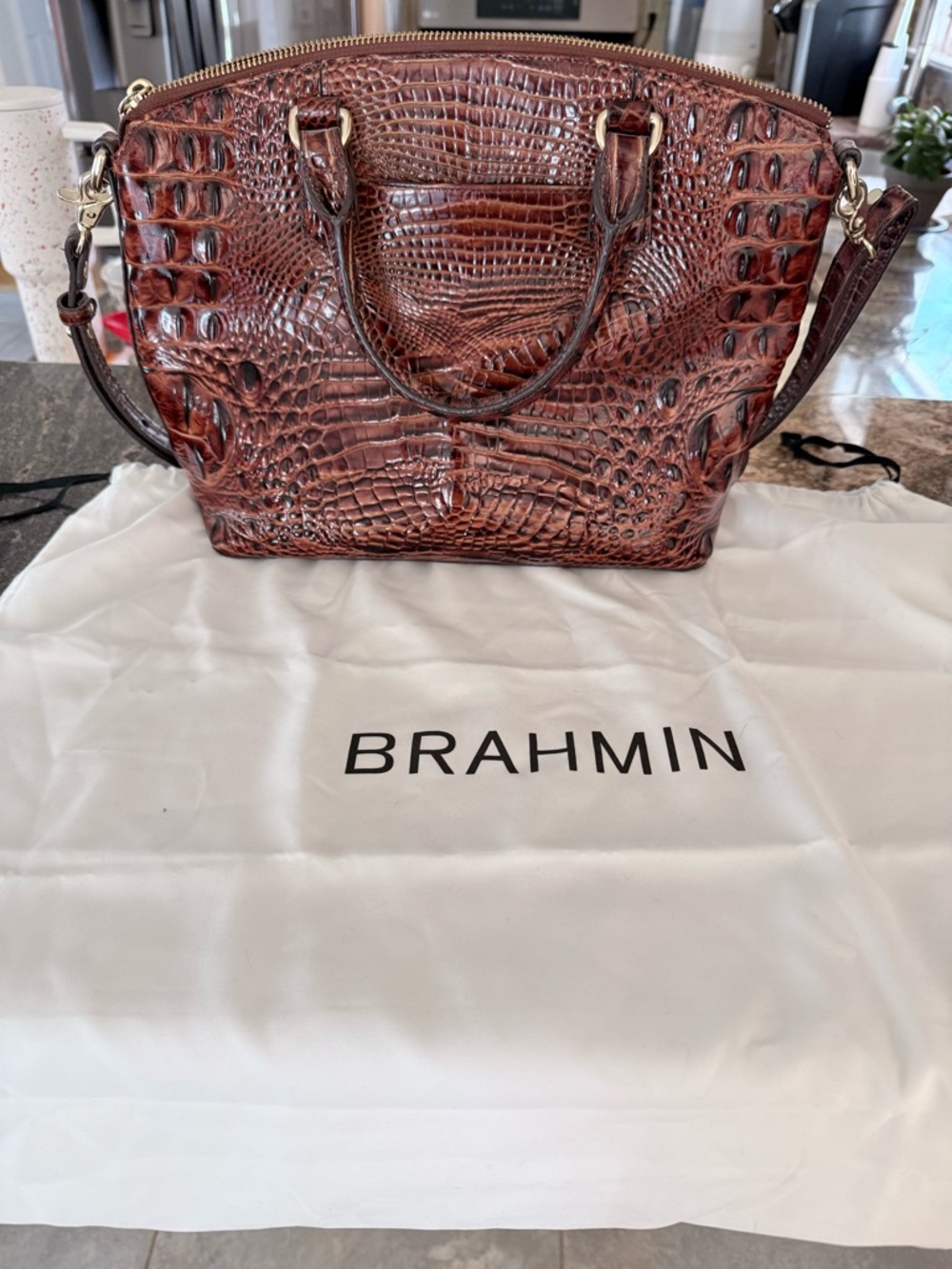 Brahmin Chestnut Croc-Embossed Satchel with Gold Hardware - Picture 2 of 7
